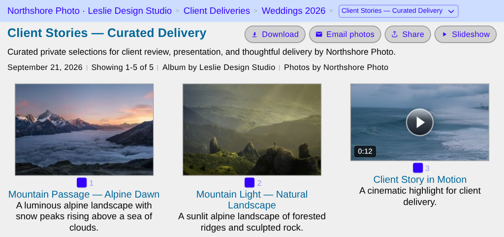 Client Stories album with its photos ticked and Download at the top right