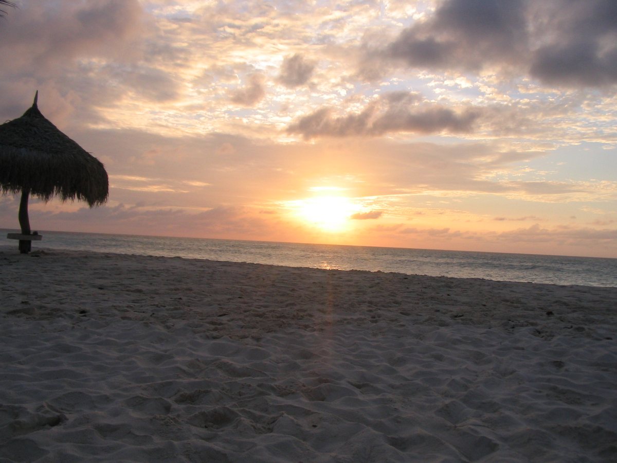 Photo by bratpics: Aruba