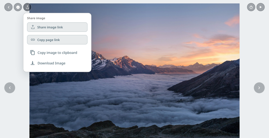 A client photo with its Share image panel: Share image link, Copy page link, Copy image to clipboard, Download Image