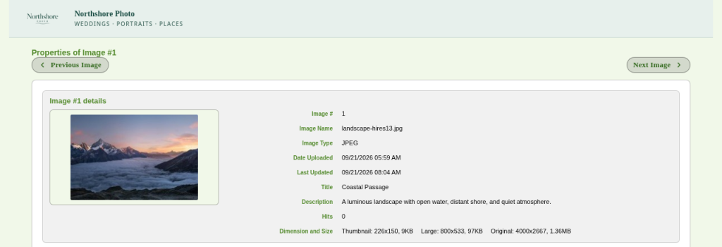 Image Properties for a client photo, with the size of its Thumbnail, Large, and Original