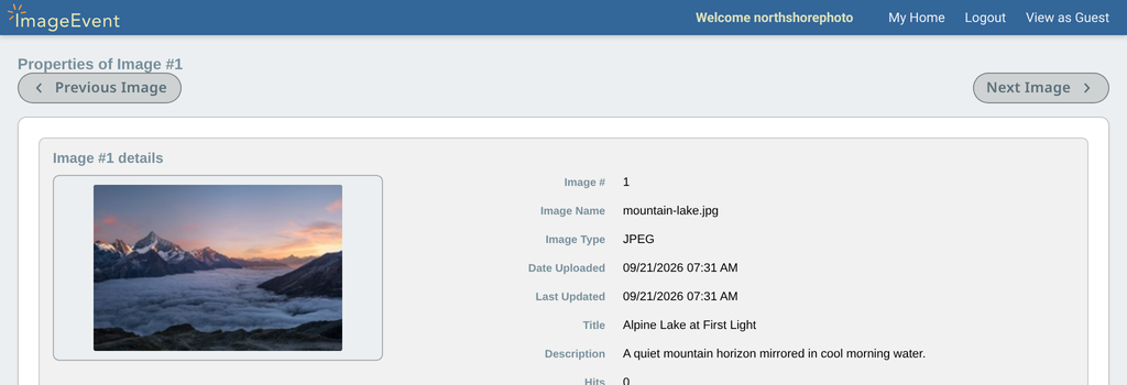 Image Properties for a client photo, with the size of its Thumbnail, Large, and Original