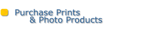 Purchase Prints & Photo Products